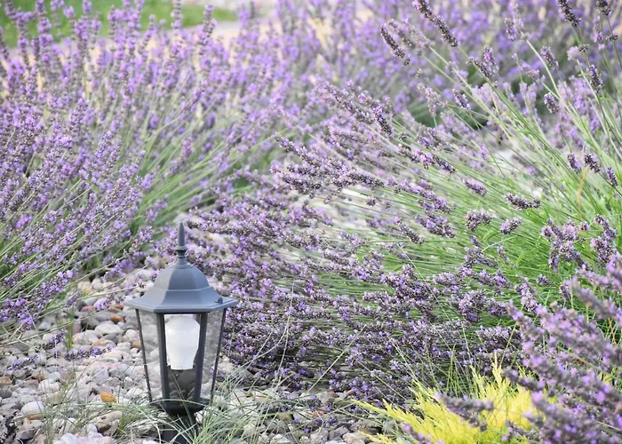 Caloroczne Zaciszna Polana