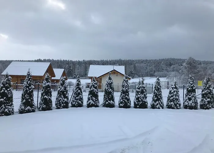 Caloroczne Zaciszna Polana 波兰尼卡-兹德鲁伊